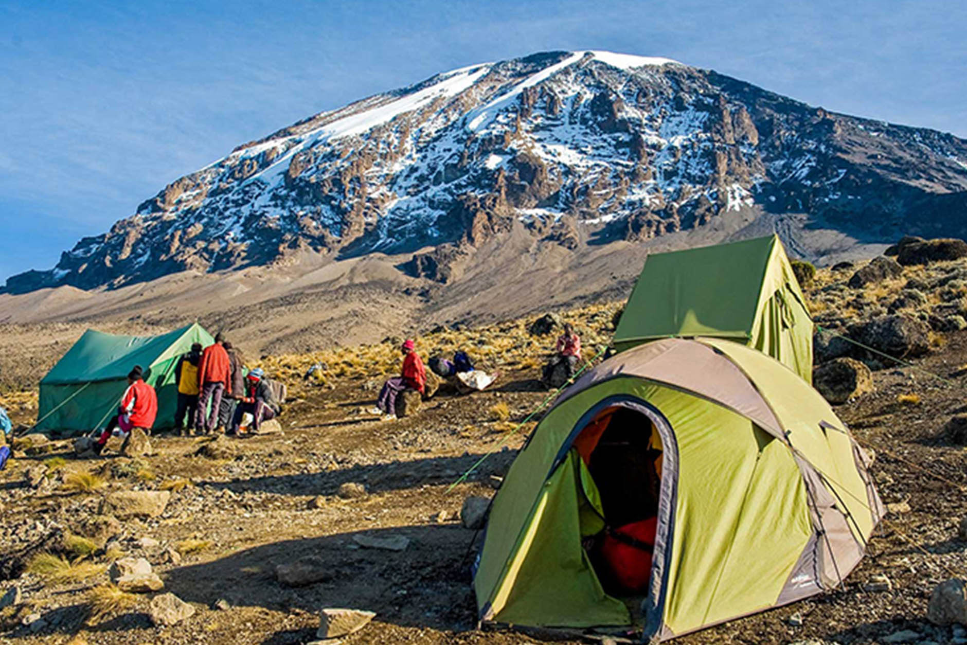 best-safari-adventures