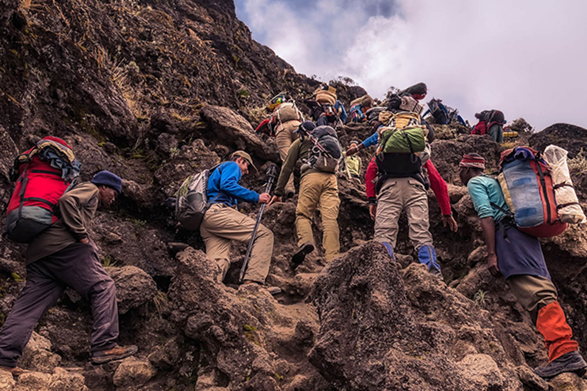 best-safari-leopards