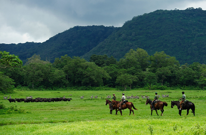 arusha-park-four-days-horse-riding-safari-tour-package