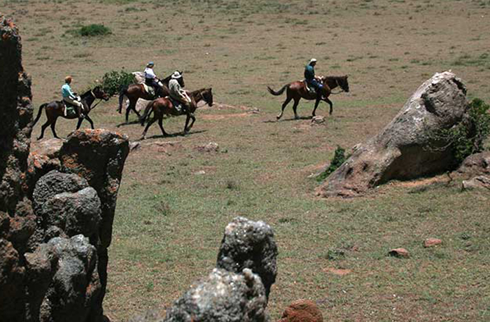 horse-riding-tours
