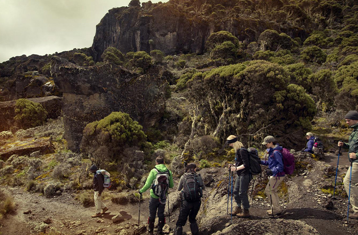 machame-route-kilimanjaro-hiking-trekking-tour-package