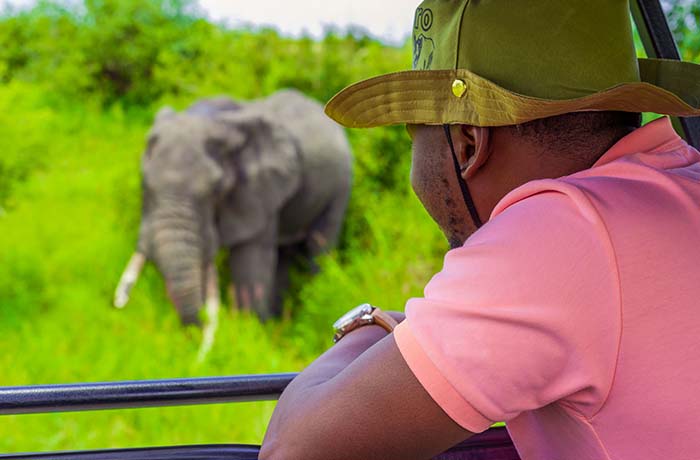 four-days-tanzania-safari-tour-package-tarangire-serengeti-ngorongoro